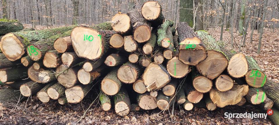 Drewno bukowe dębowe jesion brzoza Katowice