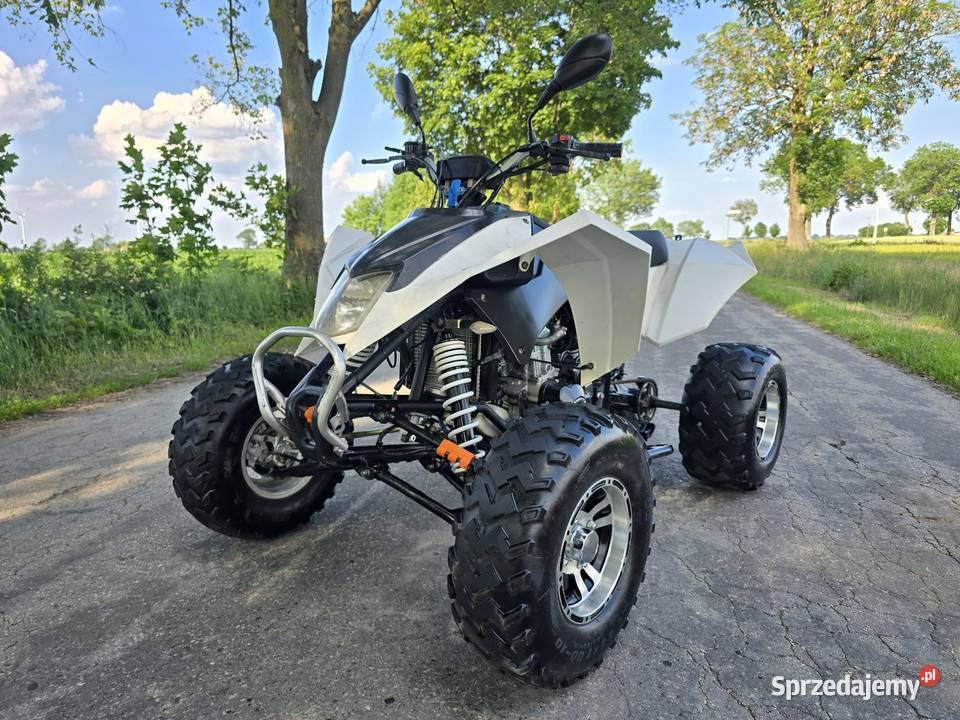 Quad Shineray Egl Bashan 250cc Ciecz Duża rama quad - ATV Kruszwica