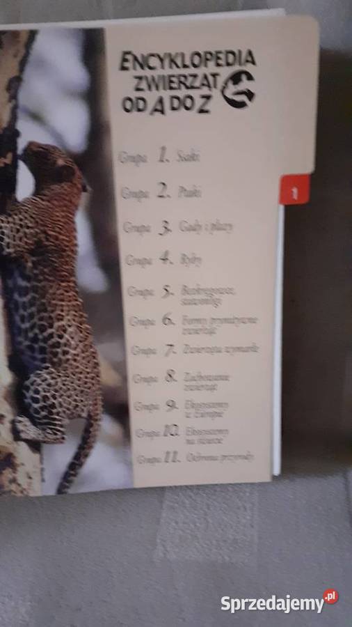Encyklopedia zwierząt A do Z