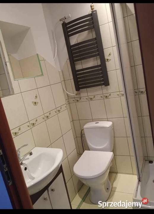 Sprzedam mieszkanie 39mw zabytkowym Palacu w cegła Marcinkowo