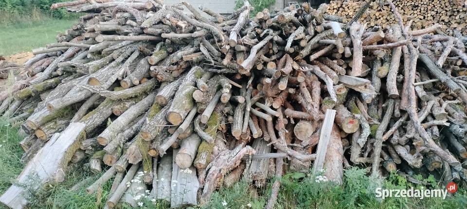 Drzewo opałowe kominkowe Wapiennik