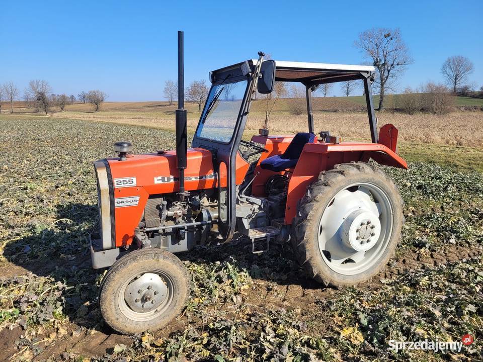 Kabina daszek MF255 opolskie Połowa