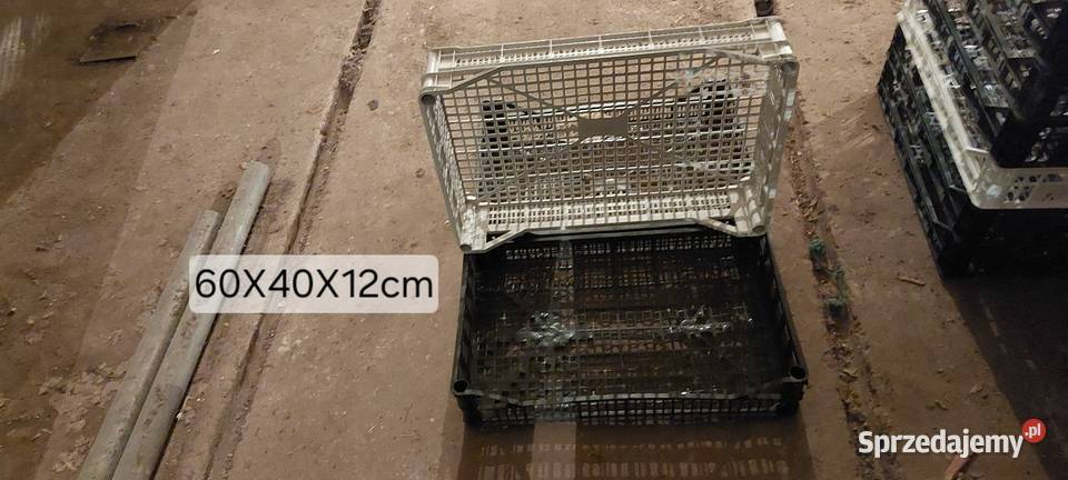 Skrzynki plastikowe 60x40x20 10 Czempiń