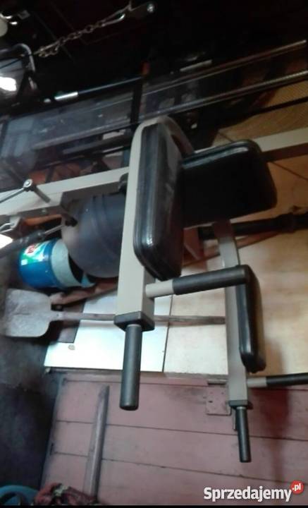 Atlas Thorn Platinium Limited Edition Piwniczna-Zdrój