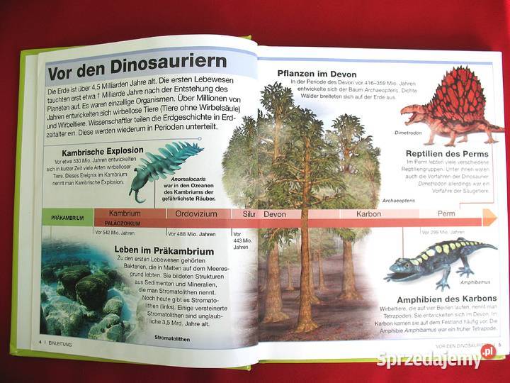 Dinosaurier Clever książka niemiecka Leksykon Siedlce