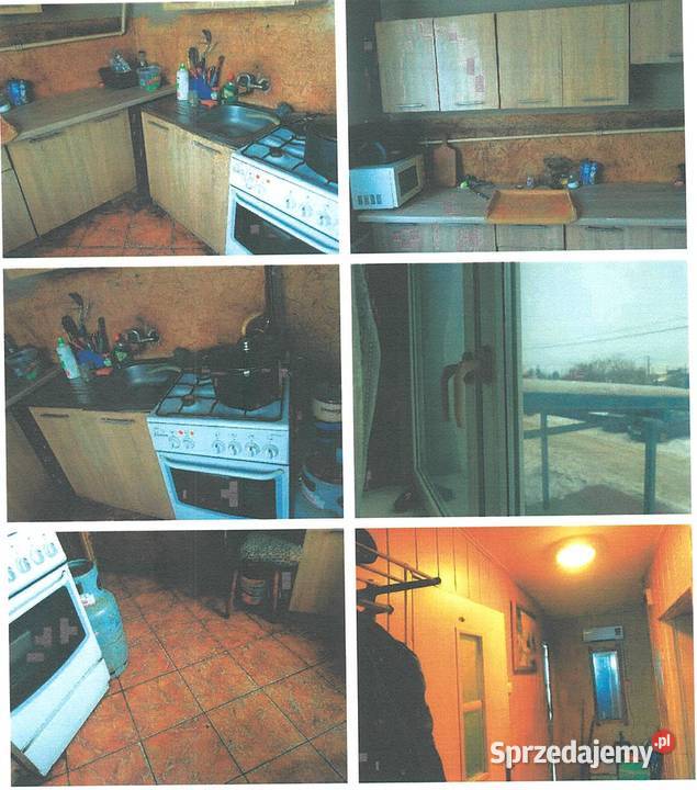 12 w mieszkaniu o pow 5350 m2 Liczba pokoi 2 Sprzedaż Miączyn Duży sprzedam