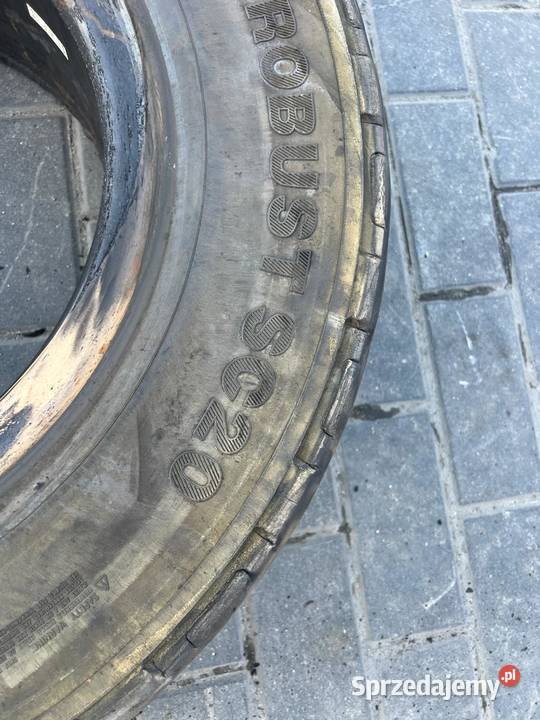 Opony Continental Jasne wózek widłowy 3556515975