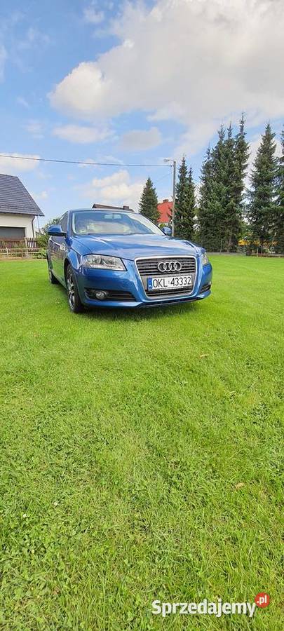Audi A3 8P Sportback