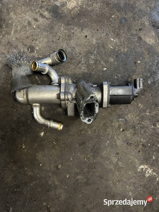 Zawór egr 13 jtd multijet cdti Kęty