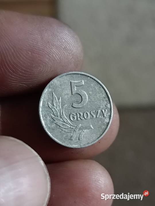Sprzedam 5 gr 1971r zzm Chełm sprzedam