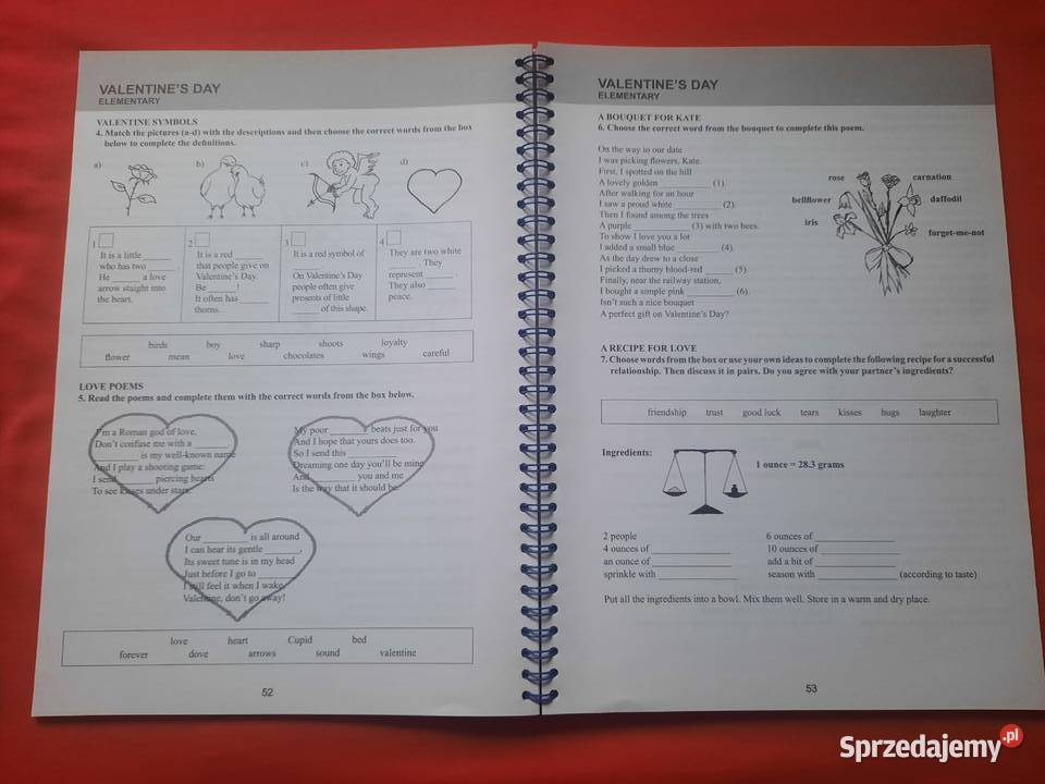 Książka The Festive Year Włocławek