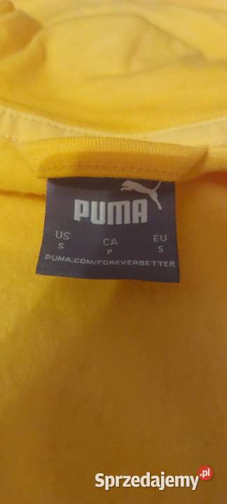 Bluza Puma Porsche Sopot