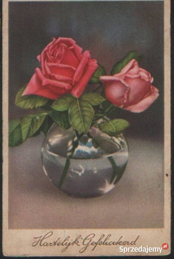 Kart poczt 4 kwiaty Gliwice