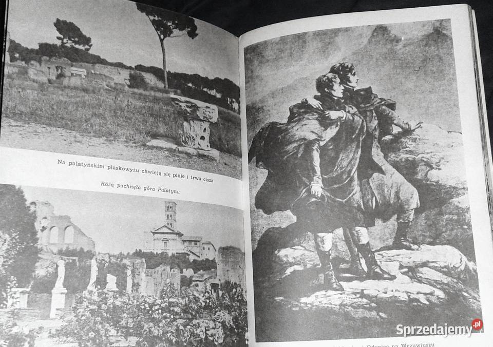 Malwy na lewadach Barbara Wachowicz Pozostałe Chełm