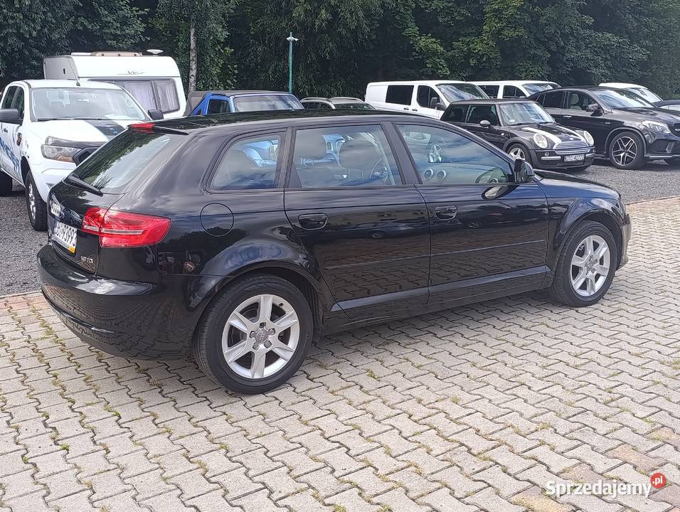AUDI A3 8P19 TDI 105 Zadbana KLIMA nieuszkodzony A3 śląskie Bujaków