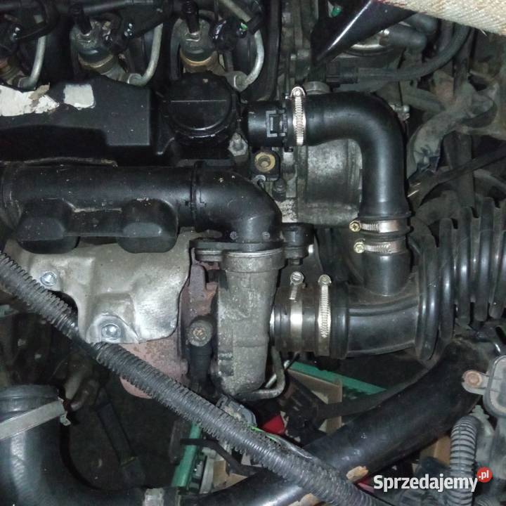 Silnik kompletny ford focus 16TDCi 109 Szczecin sprzedam