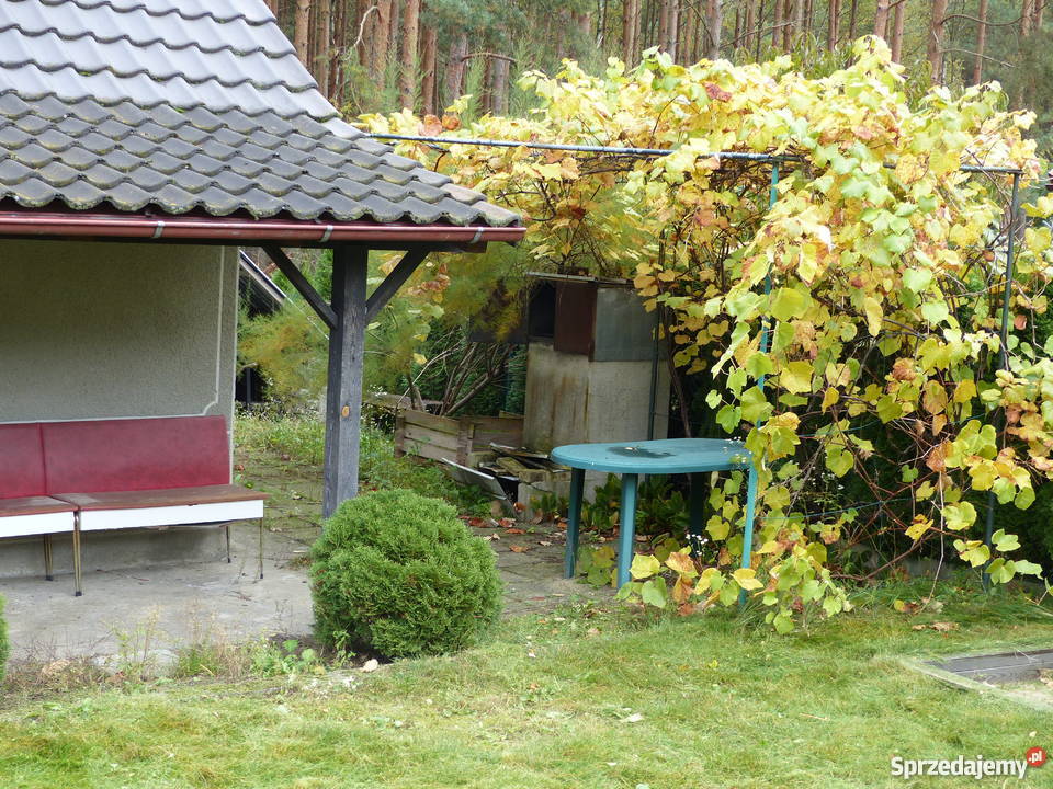 Działka rekreacyjna ROD Promyk