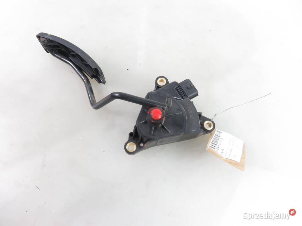 POTENCJOMETR GAZU RENAULT SCENIC II 15 dCi 19