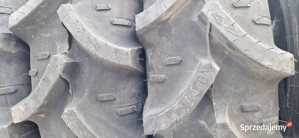 28085r28 112r28 11228 Cultor Kleber 2022 Nowe Nowe Miasto Lubawskie