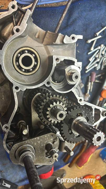 Peugeot XPS 6 rieju derbi beta sherco Błaszki