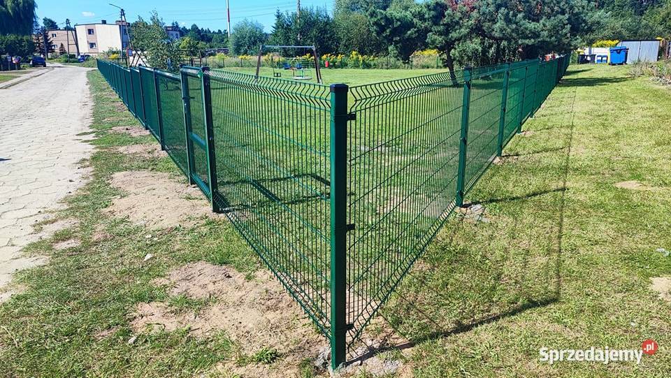 Ogrodzenie panelowe 3D 2D Panel 173 fi4 Gniew