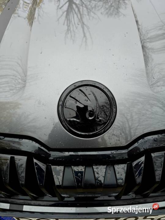 Sprzedam Skoda Karoq Sportline Głogów