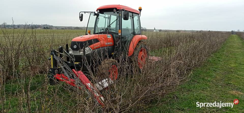Podcinanie krzewów porzeczki agrest itp Fajsławice