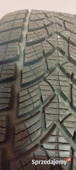 Opony zimowe Dębica 2156017 sprzedam