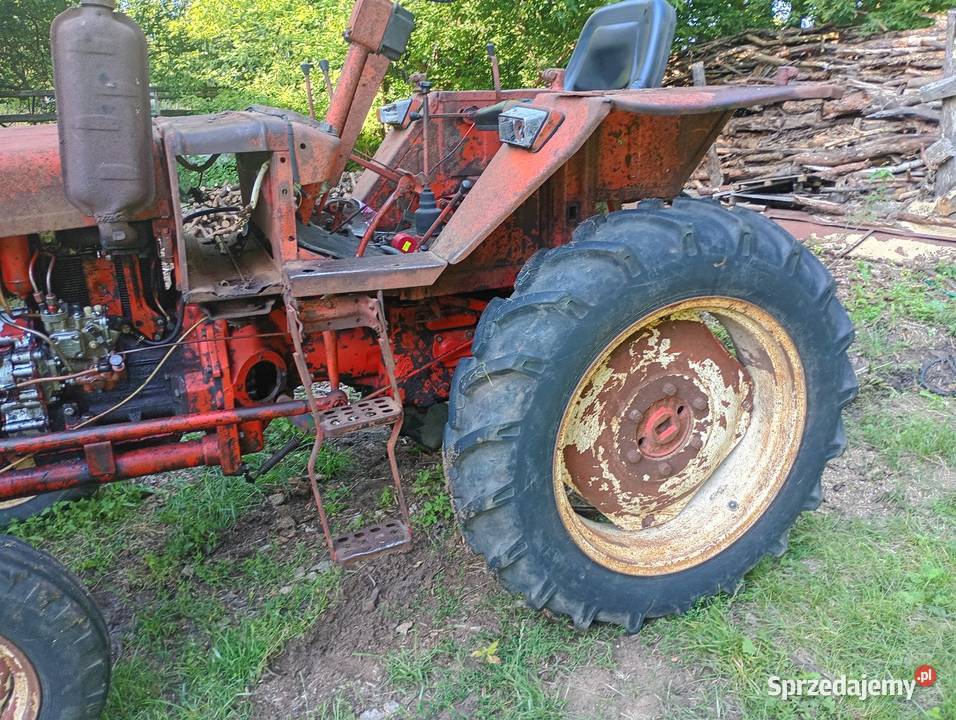 Władimirec t25 Rusek