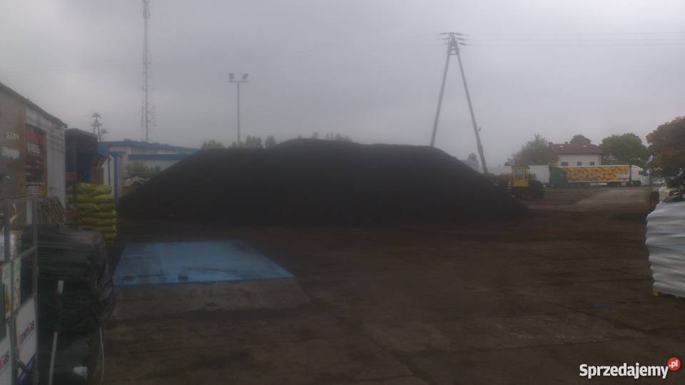 Ekogroszek Czeski workowany Stęszew