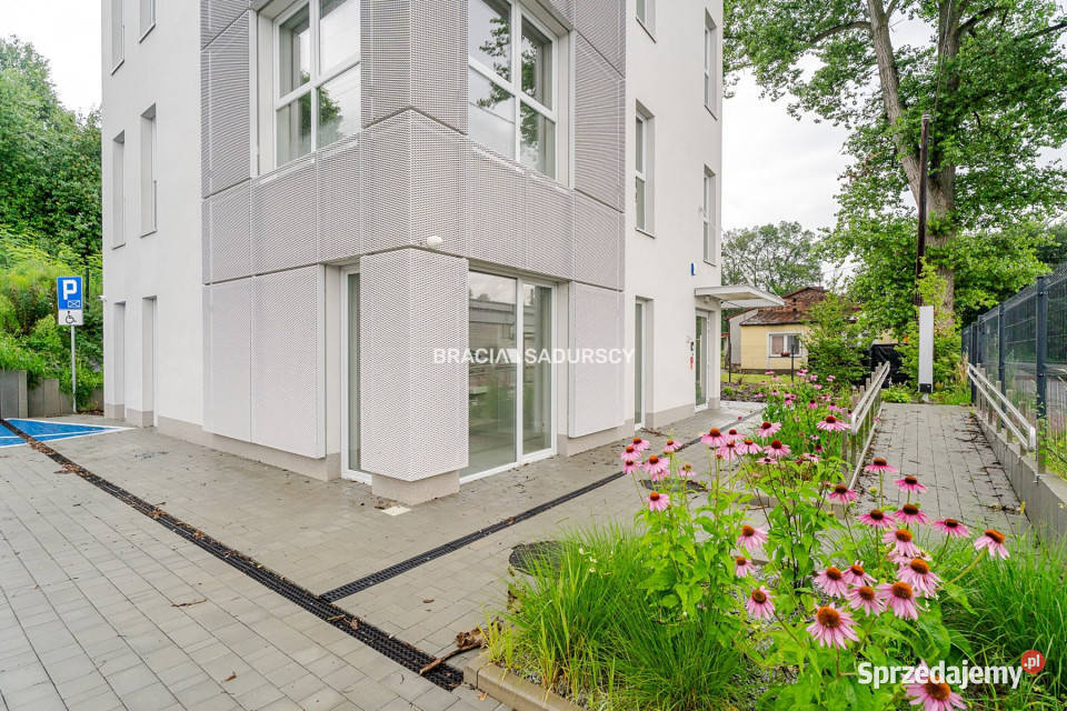 Ogłoszenie lokal 374m2 Kraków