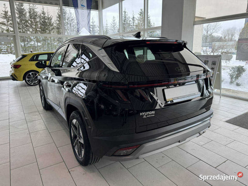 Hyundai Tucson Executive 16 TGDI 7DCT 150 Rok produkcji 2025