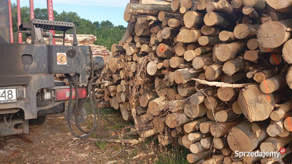 drewno opałowe kłody buk jesiondąb dolnośląskie Jelenia Góra