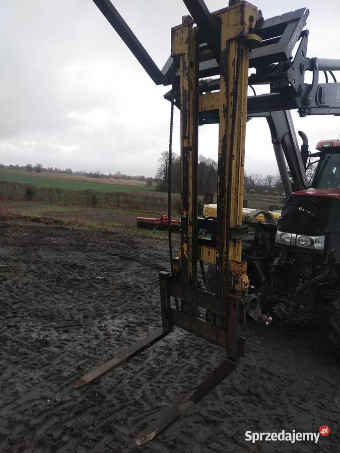 Widlak Ignatów-Kolonia