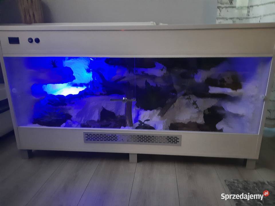 Terrarium 120x60x60 z wyposażeniem pyton regius sprzedam