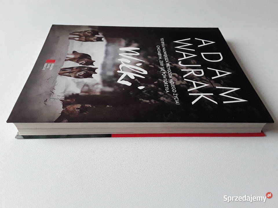 WILKI Adam Wajrak Gorzów Wielkopolski sprzedam