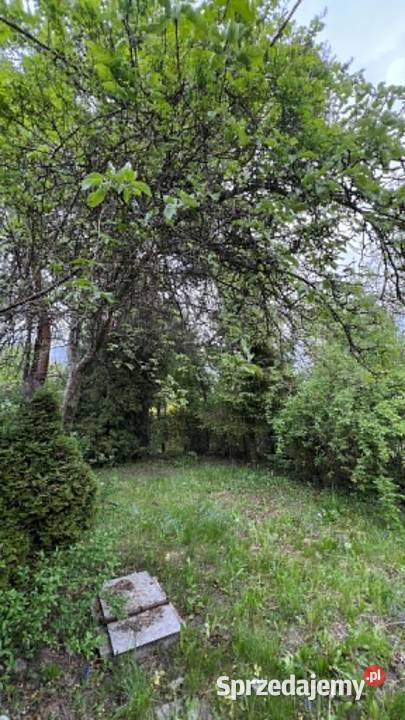 Sprzedam ogródek działkowy ROD Ceglana Katowice 266m2