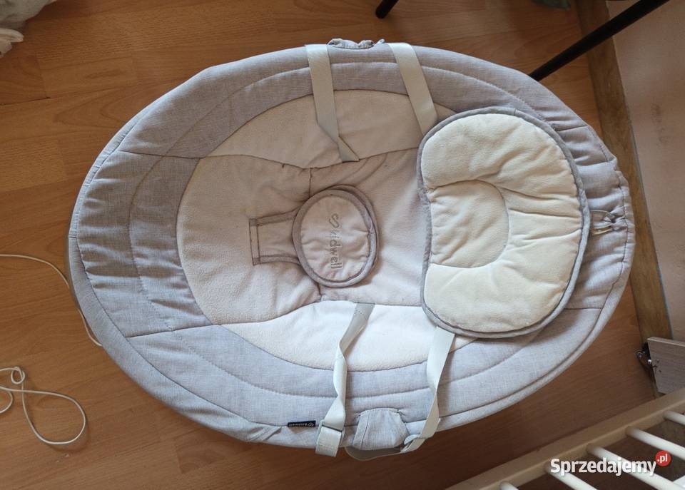 Bujaczek dziecka Babiak