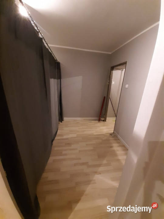 Wynajmę 3 pokojowe Prusa we Wrocławiu Wrocław