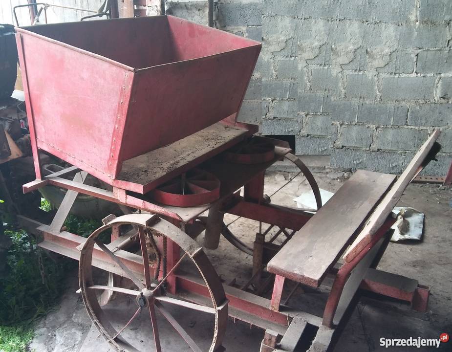 Sadzarka do ziemniaków również podkiełkowanych Hutki