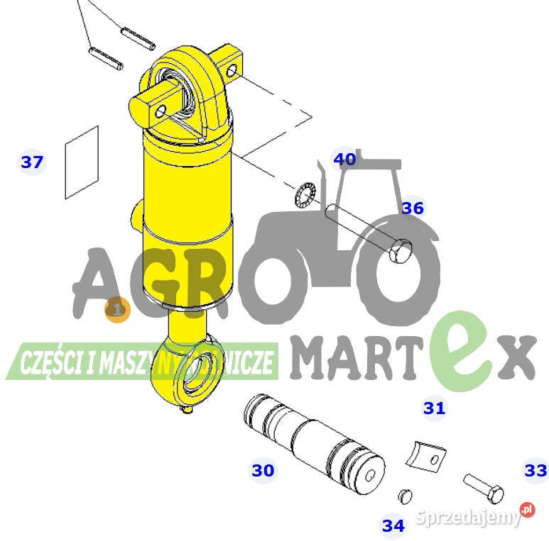 G737300050010 737300050010 SIŁOWNIK HYDR AGCO Wichrów