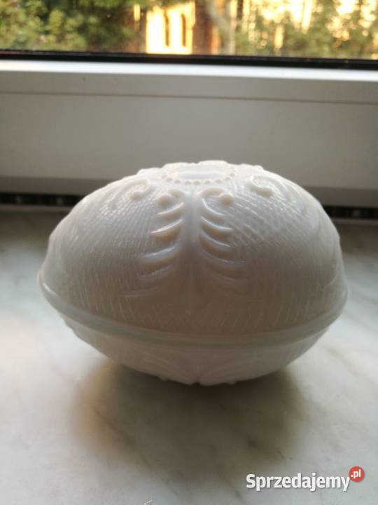 Jajo latimmo Ząbkowice Duże Choszczno sprzedam