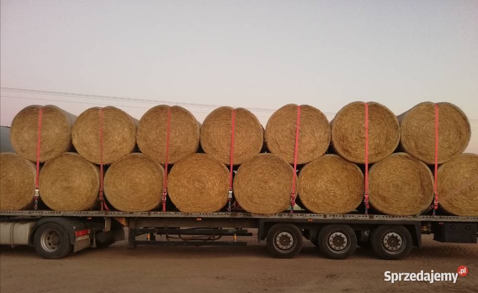 Sprzedam Bele 130 160 Zapewniam transport Przasnysz sprzedam