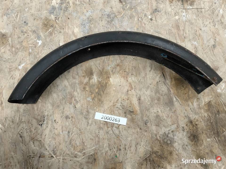 Komar błotnik przedni Rozkochów