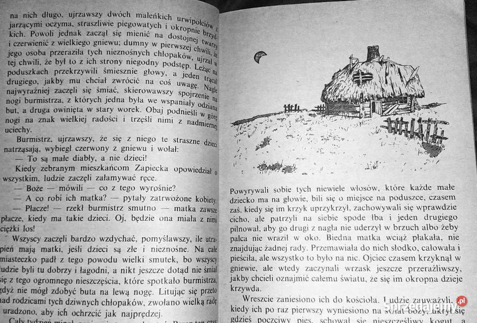 O dwóch takich co ukradli księżyc Kornel lubelskie Chełm