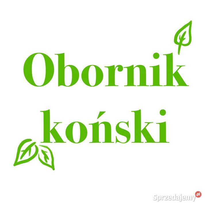 Obornik koński nawóz naturalny do roślin