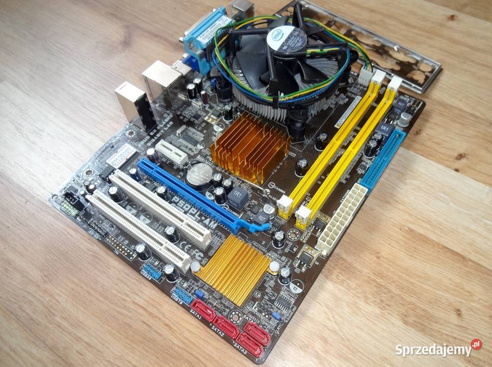 Płyta główna ASUS P5QPLAM ATX Szczecin
