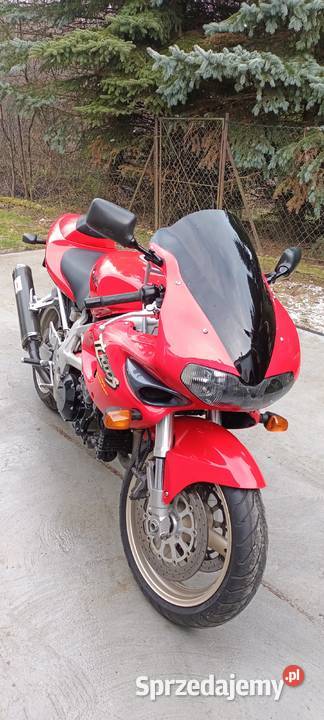 Suzuki tl 1000 s Rok produkcji 1997 Piaski