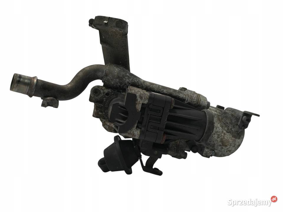CHŁODNICA SPALIN ZAWÓR EGR Ford Focus III C II Chełm
