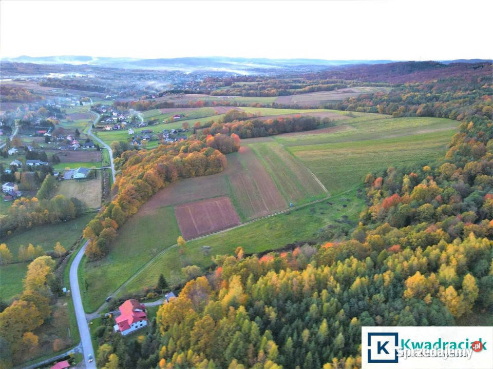 sprzedaży działki 4527m2 Lalin